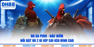 da-ga-peru-dac-diem-noi-bat-va-2-bi-kip-soi-keo-dinh-cao