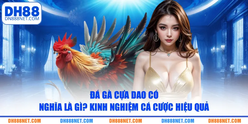 Đá Gà Cựa Dao Có Nghĩa Là Gì? Kinh Nghiệm Cá Cược Hiệu Quả