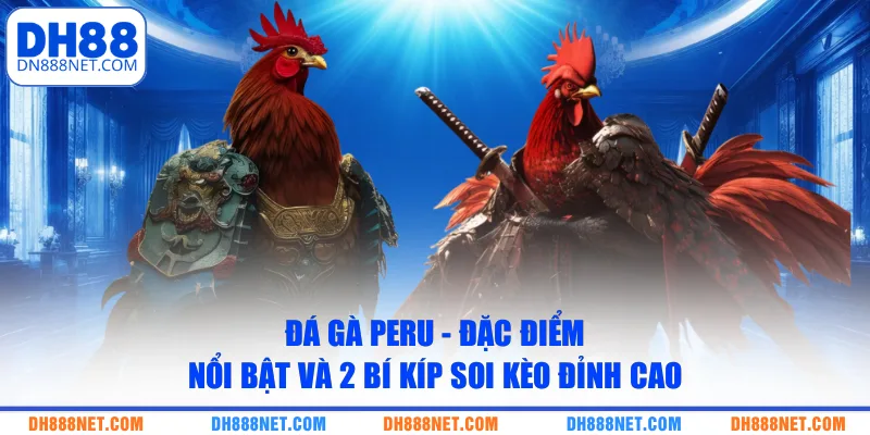 Đá Gà Peru - Đặc Điểm Nổi Bật Và 2 Bí Kíp Soi Kèo Đỉnh Cao