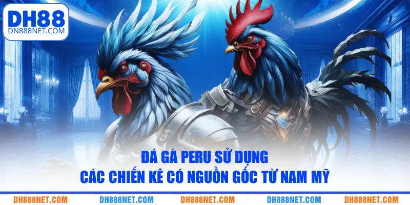Đá gà Peru sử dụng các chiến kê có nguồn gốc từ Nam Mỹ