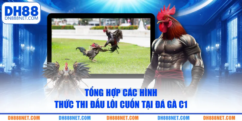 Tổng hợp các hình thức thi đấu lôi cuốn tại đá gà C1