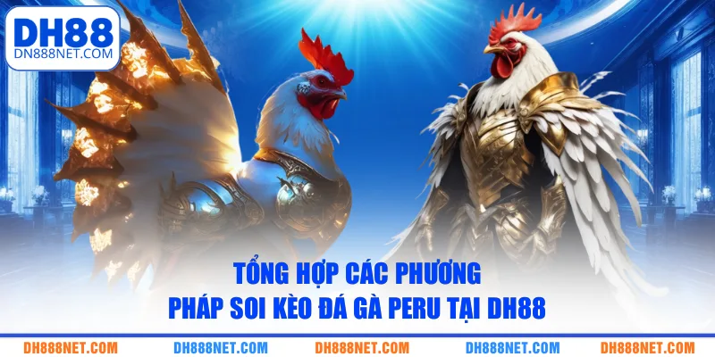 Tổng hợp các phương pháp soi kèo đá gà Peru tại DH88